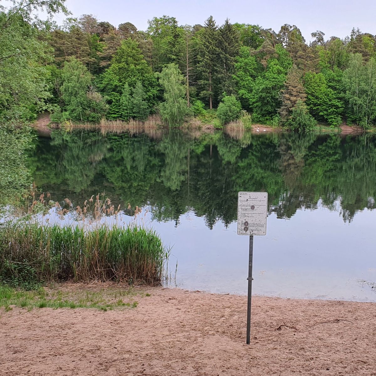 Der Hochholzer See mit Verbotsschild | Foto: Dr. Clemens Kriesel