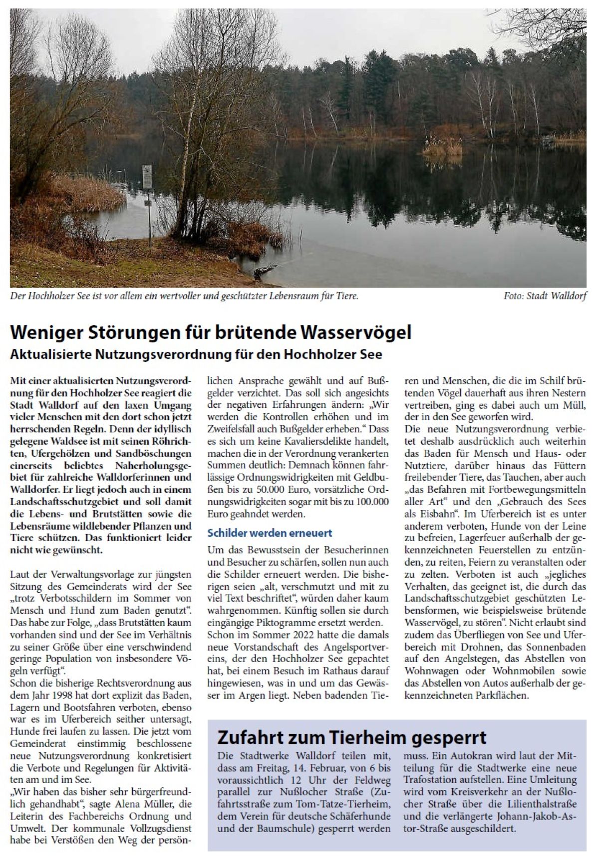 Mit einer aktualisierten Nutzungsverordnung für den Hochholzer See reagiert die Stadt Walldorf auf den laxen Umgang vieler Menschen mit den dort schon jetzt herrschenden Regeln. Denn der idyllisch gelegene Waldsee ist mit seinen Röhrichten, Ufergehölzen und Sandböschungen einerseits beliebtes Naherholungsgebiet für zahlreiche Walldorferinnen und Walldorfer. Er liegt jedoch auch in einem Landschaftsschutzgebiet und soll damit die Lebens- und Brutstätten sowie die Lebensräume wildlebender Pflanzen und Tiere schützen. Das funktioniert leider nicht wie gewünscht.