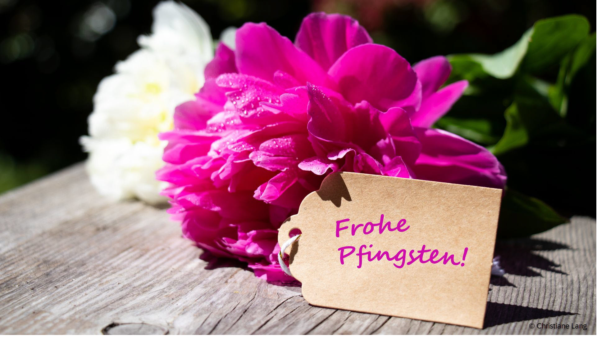 Frohe Pfingsten