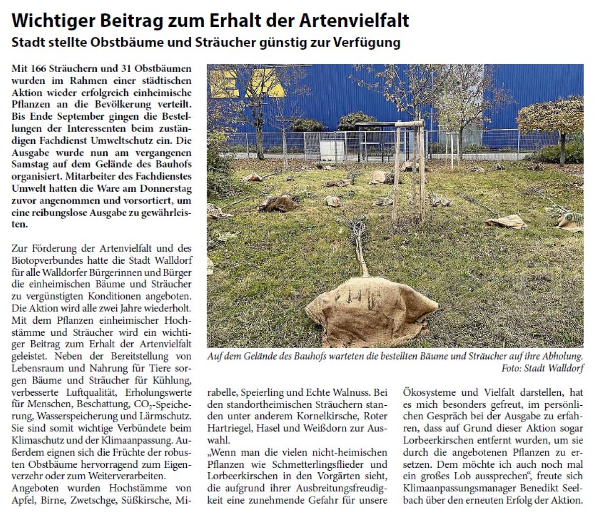 Wichtiger Beitrag zum Erhalt der Artenvielfalt Stadt stellte Obstbäume und Sträucher günstig zur Verfügung Mit 166 Sträuchern und 31 Obstbäumen wurden im Rahmen einer städtischen Aktion wieder erfolgreich einheimische Pflanzen an die Bevölkerung verteilt. Bis Ende September gingen die Bestellungen der Interessenten beim zuständigen Fachdienst Umweltschutz ein. Die Ausgabe wurde nun am vergangenen Samstag auf dem Gelände des Bauhofs organisiert. Mitarbeiter des Fachdienstes Umwelt hatten die Ware am Donnerstag zuvor angenommen und vorsortiert, um eine reibungslose Ausgabe zu gewährleisten.
