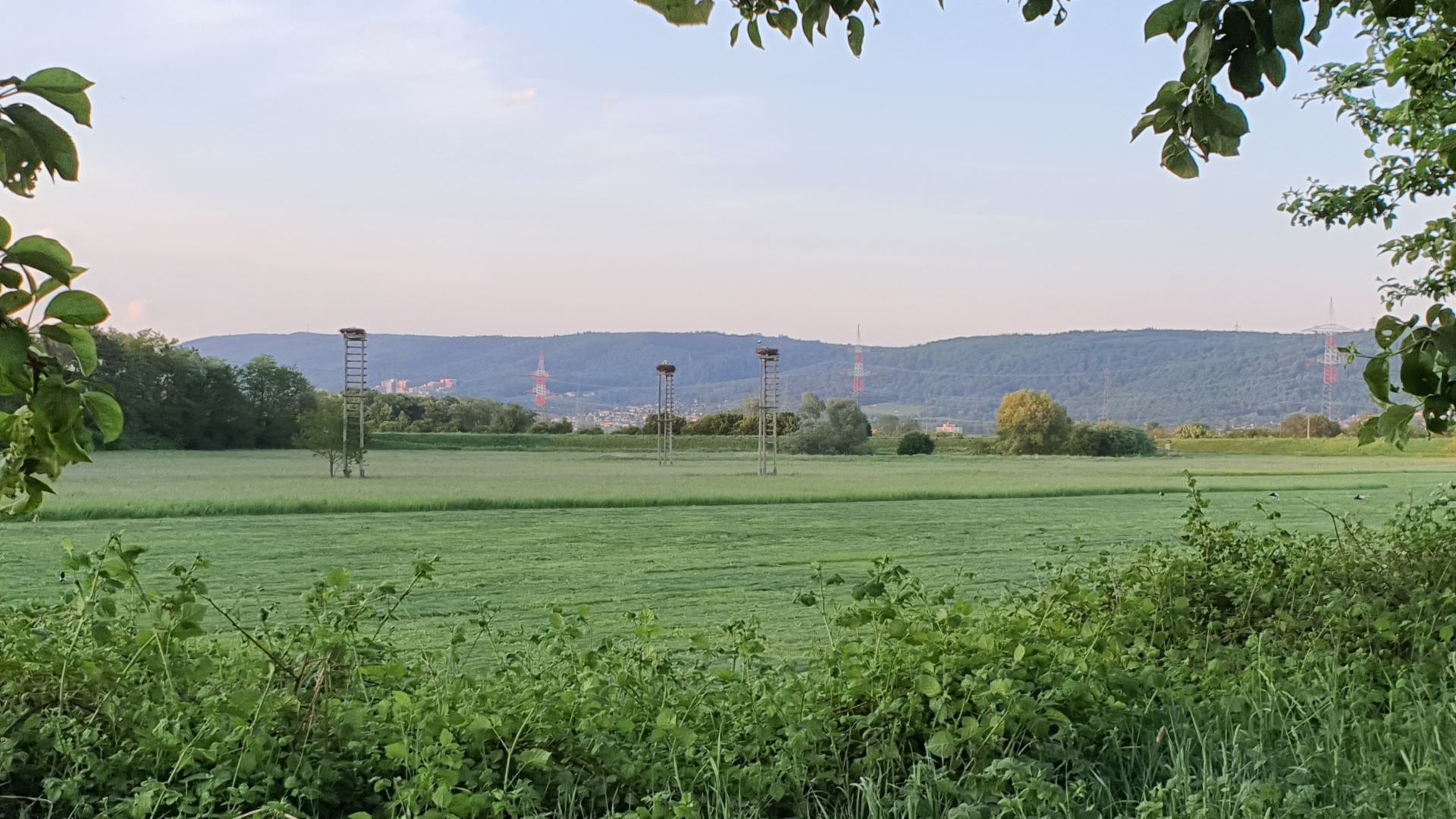 Langfassung unserer Ideen zur Umwelt- und Klimaschutz Langfassung unserer Ideen zur Umwelt- und Klimaschutz