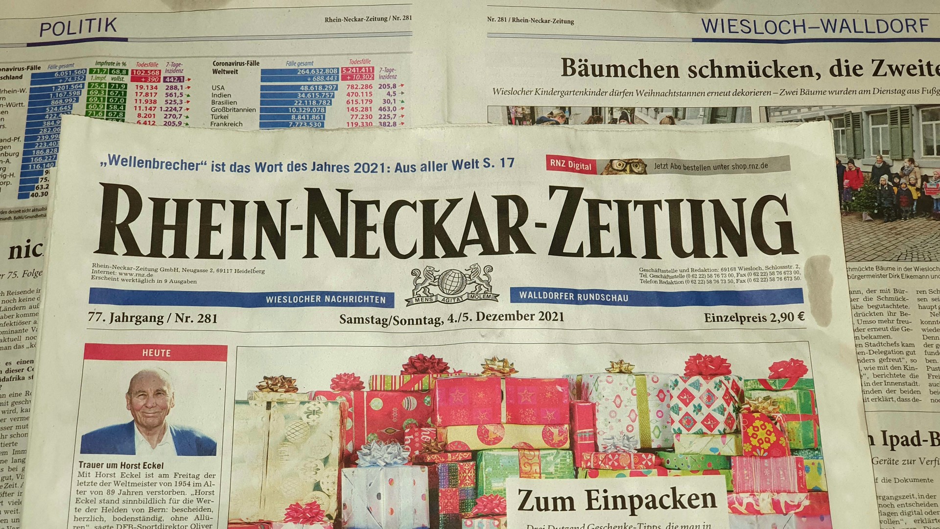 Motivbild Rhein-Neckar-Zeitung Dezember 2021 | Foto: Dr. Clemens Kriesel